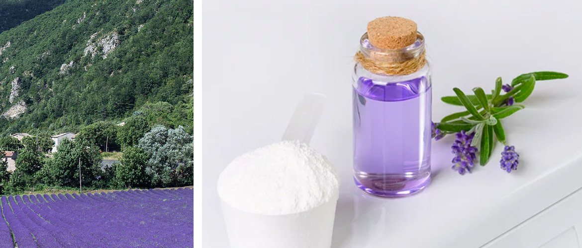 Collage aus einem Lavendel-Feld auf der einen Seite und einem Flächschen mit rosa Flüssigkeit und einem Löffel mit weißem Pulver neben Lavendelblüte auf der anderen